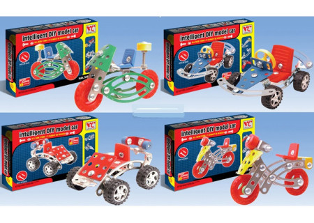 Intelligent DIY Model Car