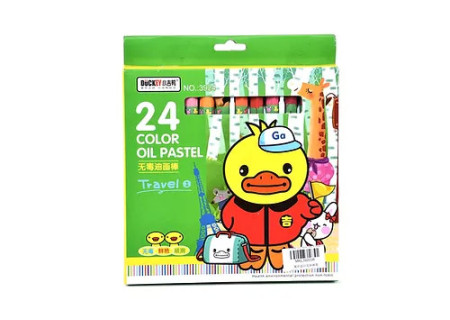 Pastel Crayon 24 Piece