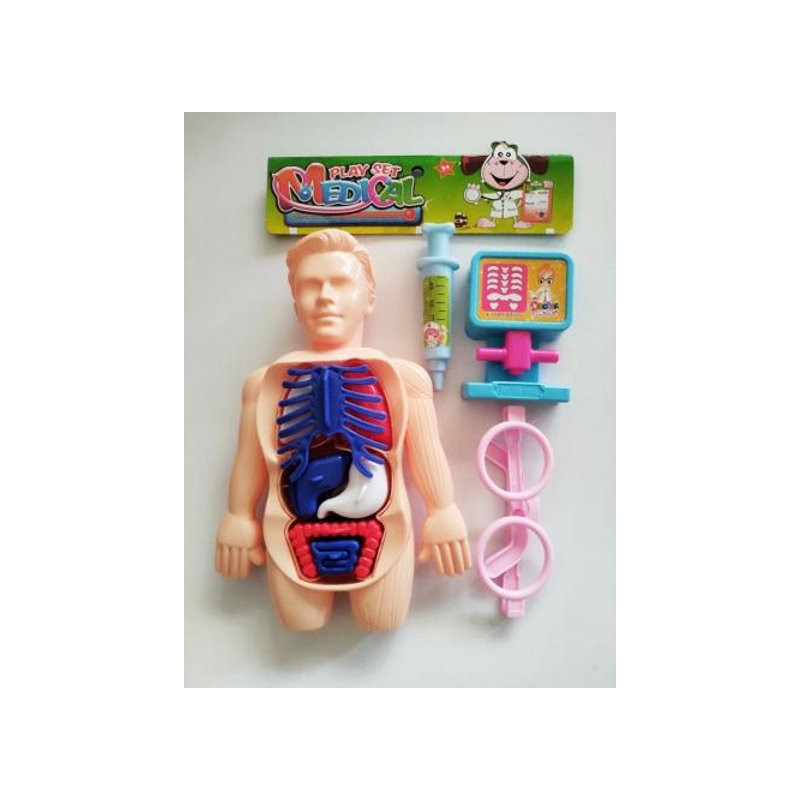 Kids PBH Medical Take Apart Body Parts Toy with Accessories – Educati Kids PBH Medical Take Apart Body Parts Toy with Accessories – Educati