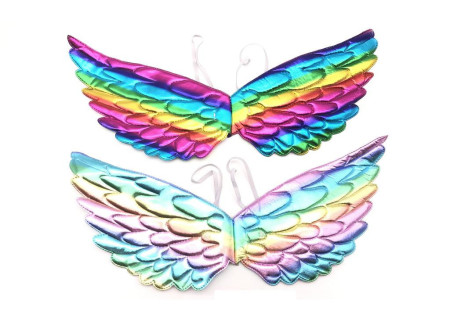 Colourful Wings for Fun Dress-Up