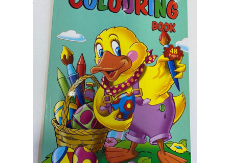 48 Page Colouring Book Assorted