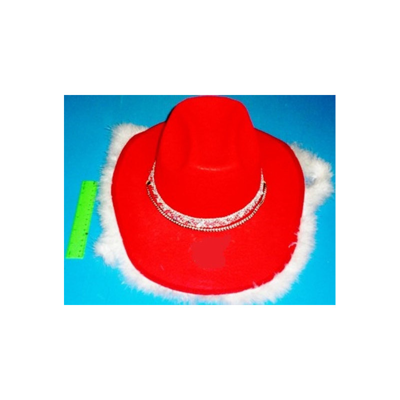 Red Cowboy Hat with Feather Band for Costume Play Red Cowboy Hat with Feather Band for Costume Play