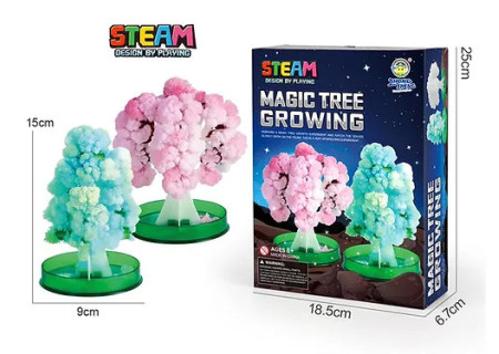 DIY Magic Tree Grow Science Experiment