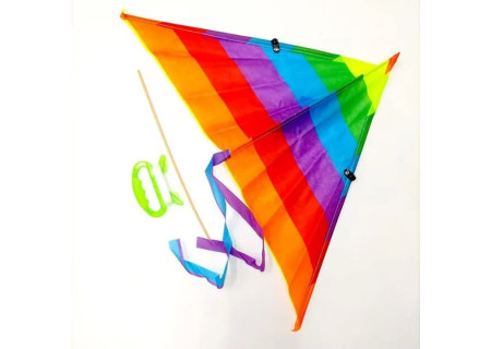 Neon Kite - Bright and Fun Outdoor Play for Kids