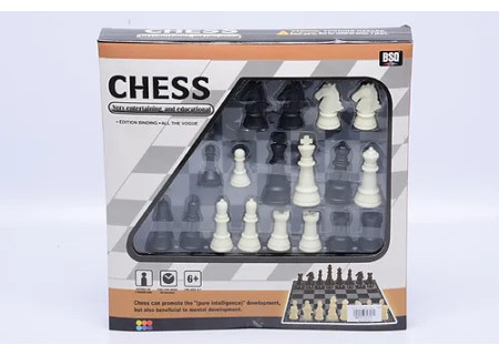 Chess Toy Set