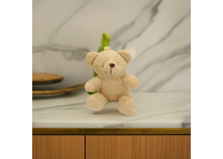 Soft Plush Teddy Bear – Cuddly Gift for Kids & Adults