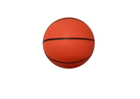 8 Inch Basketballs - 5 Colors in Net Bag