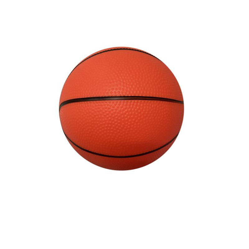8 Inch Basketballs - 5 Colors in Net Bag