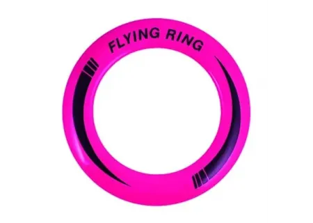 Hollow Frisbees - 10 Inch Plastic Flying Discs