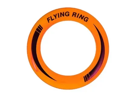 Hollow Frisbees - 10 Inch Plastic Flying Discs