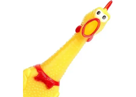 Screaming Chicken Toy