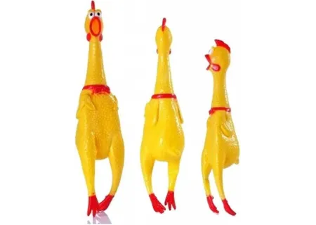 Screaming Chicken Toy