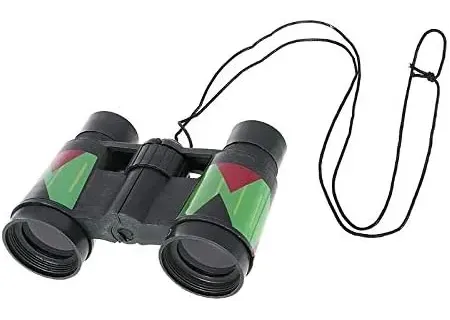 Small Binoculars in Bag for Adventure Play