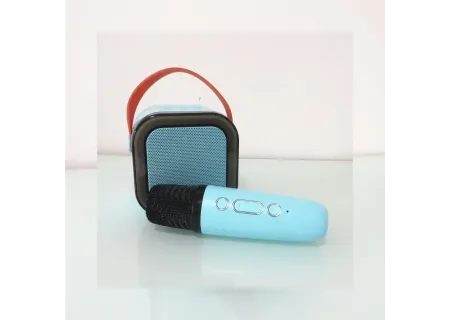All-in-One Bluetooth Karaoke Speaker with Mic – Perfect for Parties
