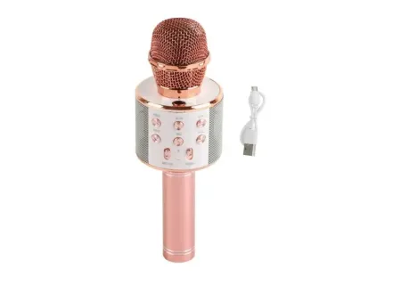 All-in-One Bluetooth Microphone and Speaker -Music, Singing