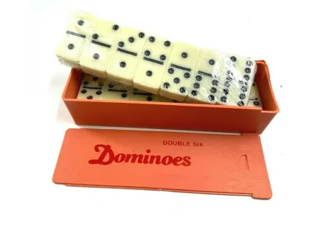 Dominoes in Container for Classic Gameplay