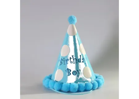 Birthday Party Hats for Boys and Girls (23cm)