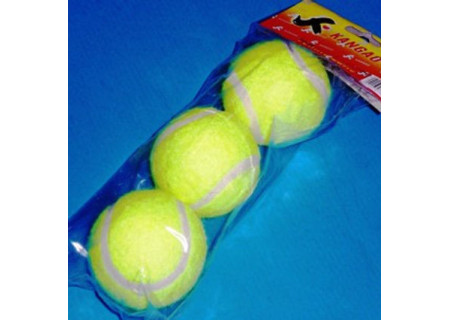 Tennis Balls - 3 Pack for Practice and Play