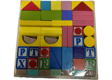 Wooden Puzzle Blocks Set